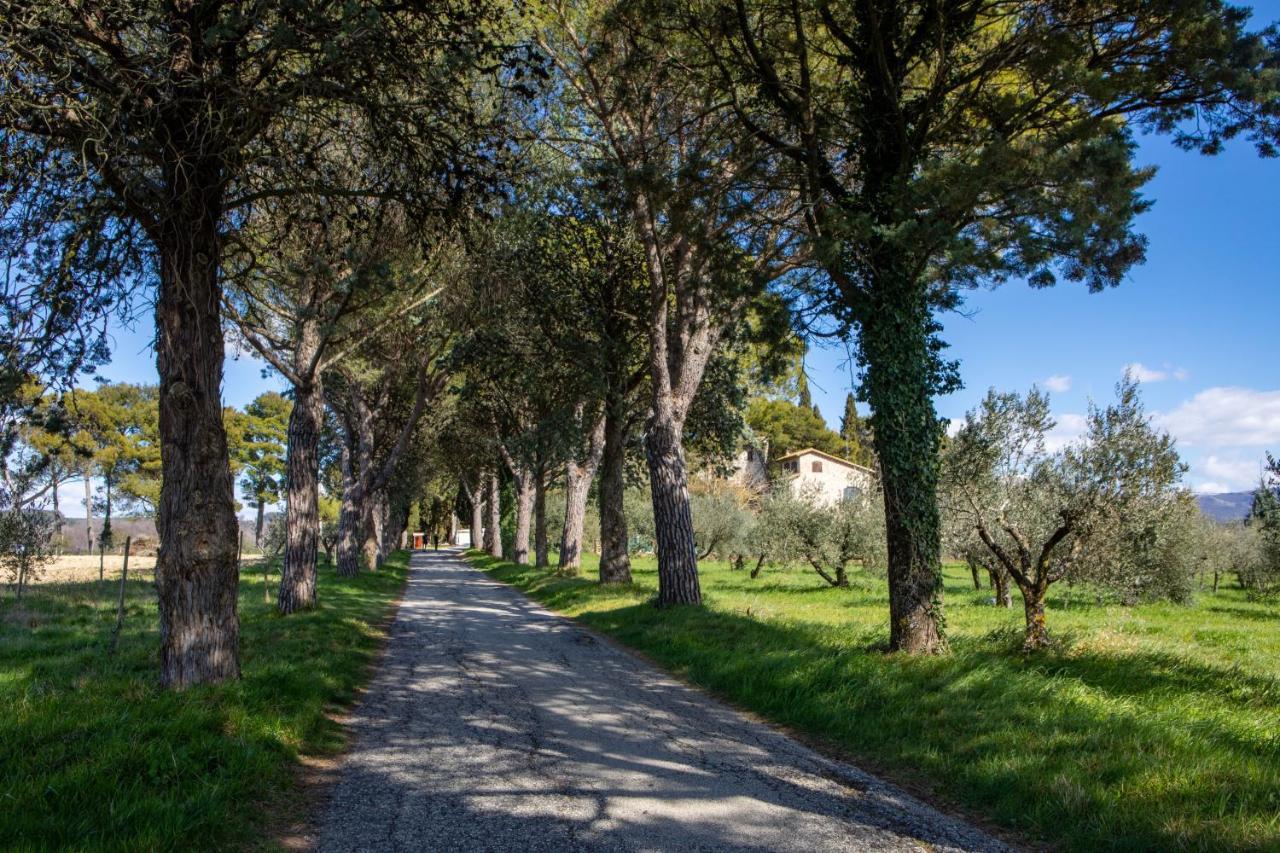 Hotel Borgo Petroro Todi Esterno foto